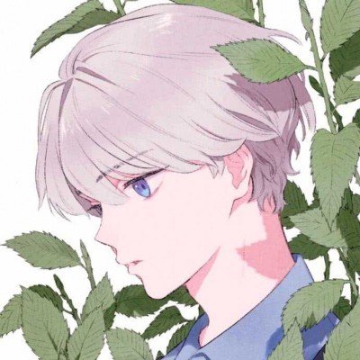 京东携大疆刷新北影节出片新高度